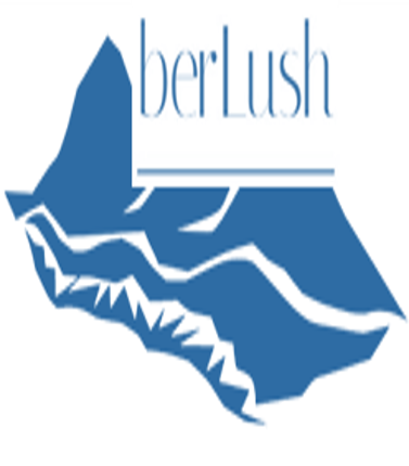 شركة بيرلاش للمقاولات